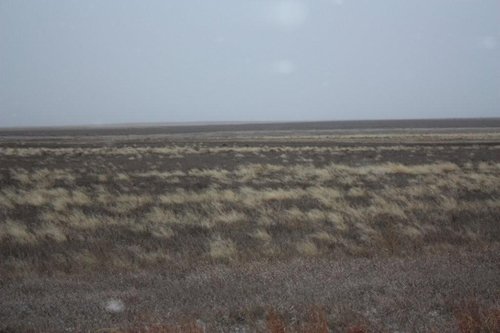 Property photo 51 - Kansas Land Auction - 960 Acres - 7 Farms in 3 Counties